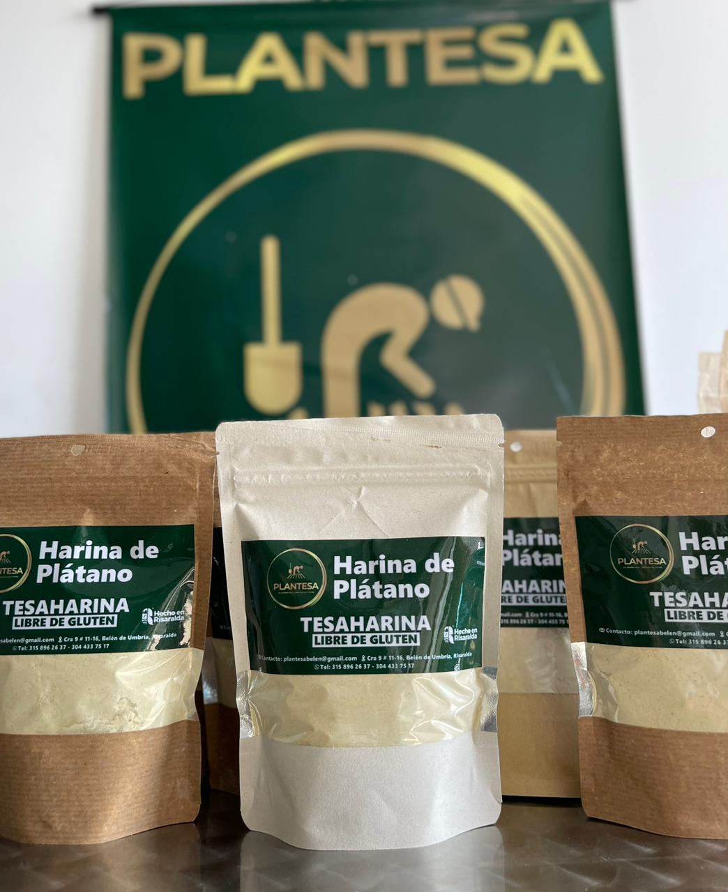 Tesarina de plátano Plantesa